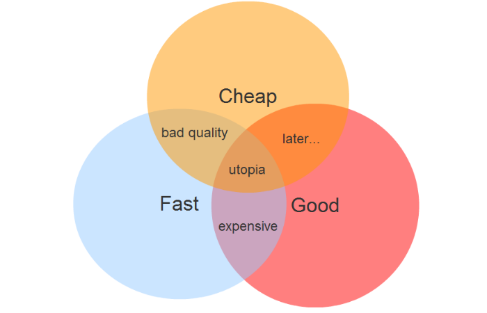 What are Project Constraints