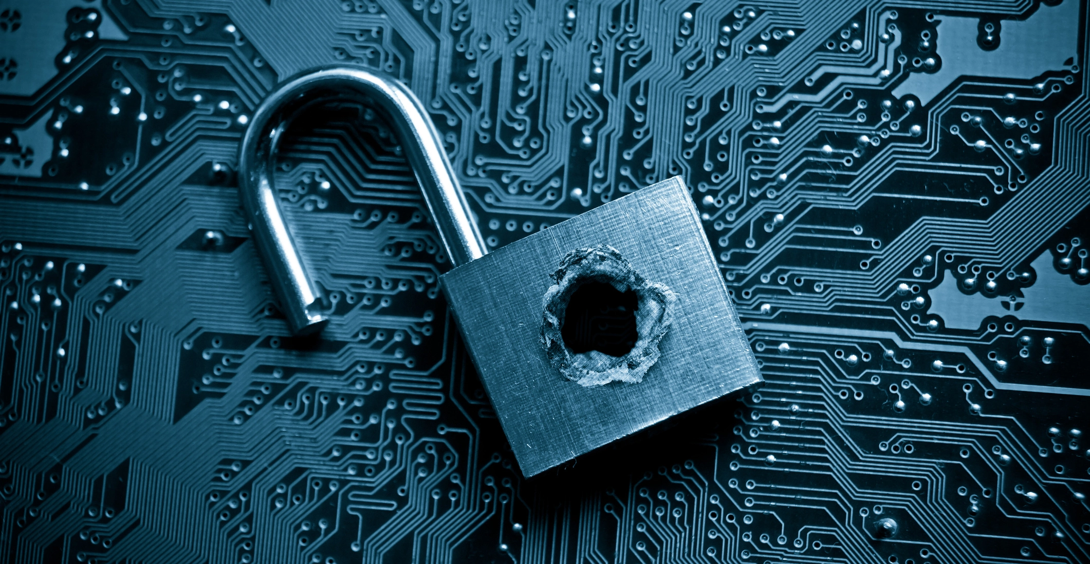 Vulnerability Management Systems
