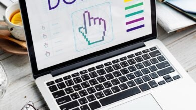 The Limitations of Free Domain Names